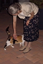 Dorothy and the Restaurant Cat in Milan.jpg